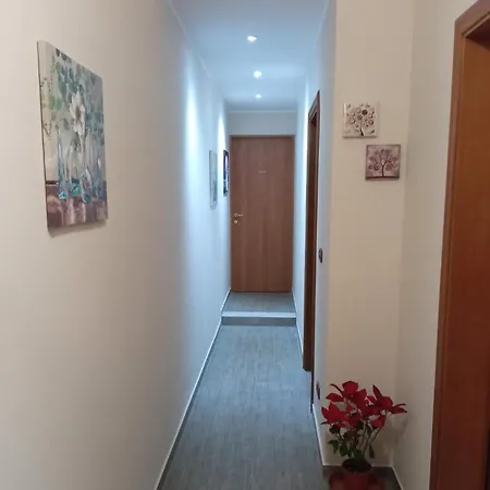 Soleluna 319