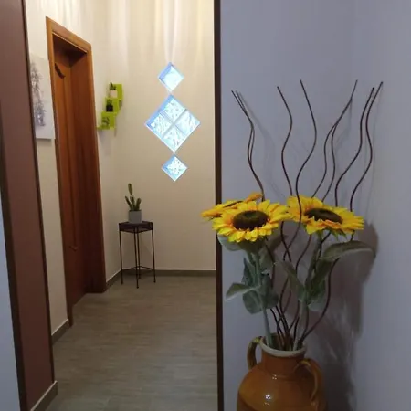 Soleluna 319 Couette-café